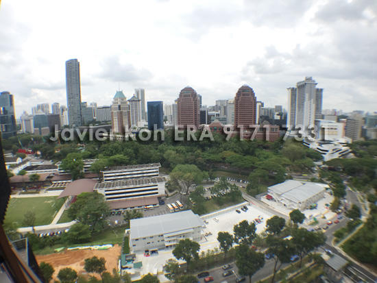 OUE Twin Peaks (D9), Condominium #131562692